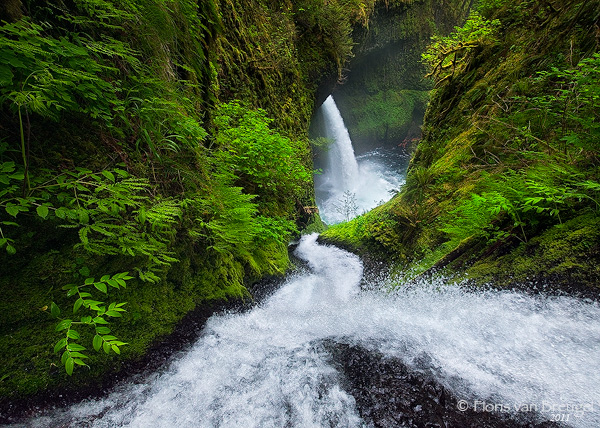 Waterfall in the Columbia River Gorge