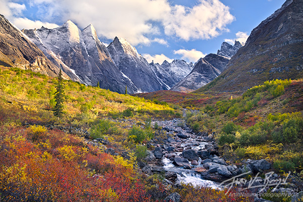 Autumn Color in the Arrigetch Peaks, Brooks Range, Alaska