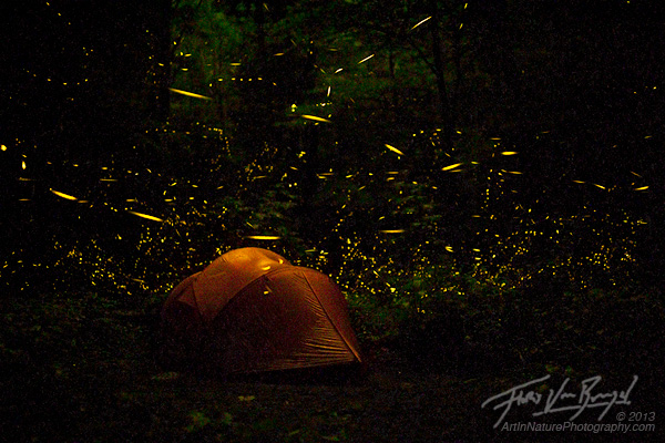Camping with Fireflies, Smoky Mountains, Tennessee