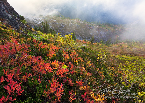 Fall Color North Cascades, Mist and Mountains, Washington