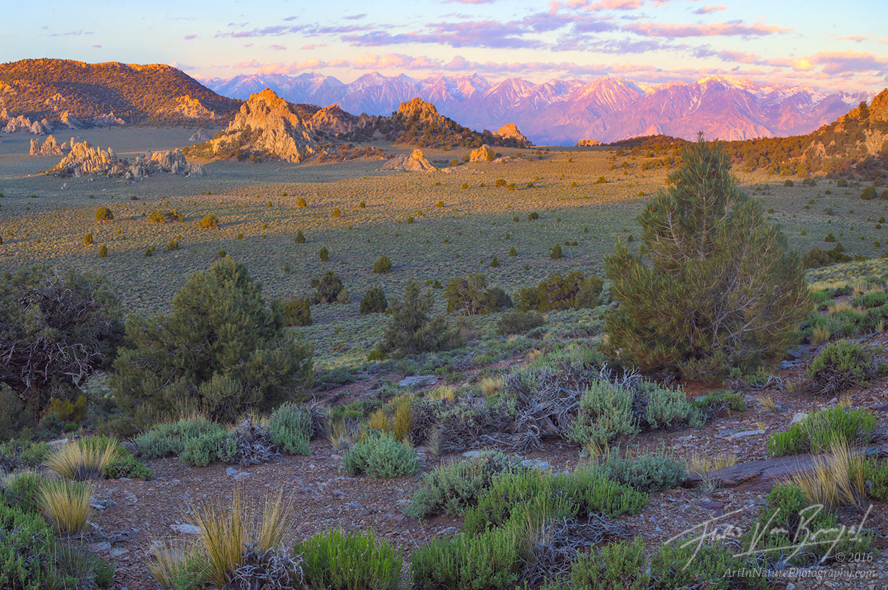 Inyo Mountains, Sierra Nevada, Sage and Pinyon