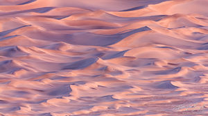 Pink Mesquite Sand Dunes Abstract, Death Valley National Park, California, the sandbox