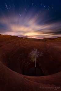 Lonely Tree, Escalante National Monument, Utah, dreams of solitude, moonset