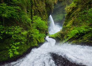 Waterfall, Columbia River Gorge, Oregon