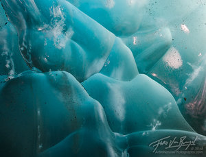Ice Abstract, Mendenhall Glacier, Alaska