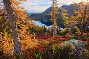 Cascades, Autumn, Larches