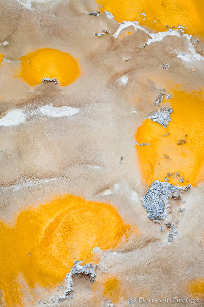 Toxic Art, Yellowstone National Park, Wyoming, bacterial mats, abstract, , photo