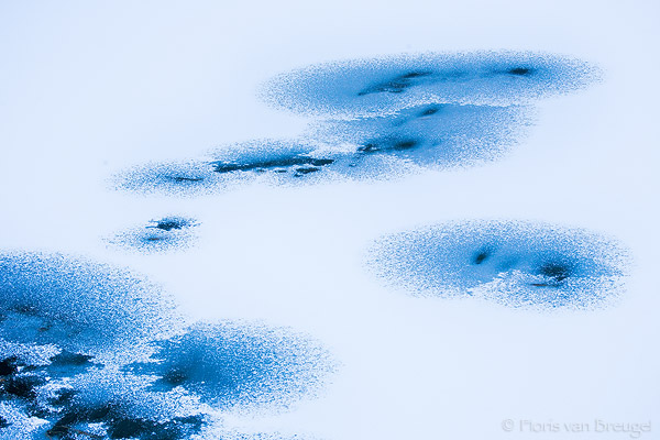 Abstract ice formations grace the surface of the frozen Merced River in Yosemite National Park, California.
