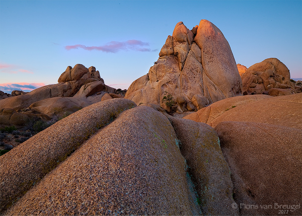 Smooth sculpted granite boulders at sunrise in California's Joshua Tree National Park. &nbsp;