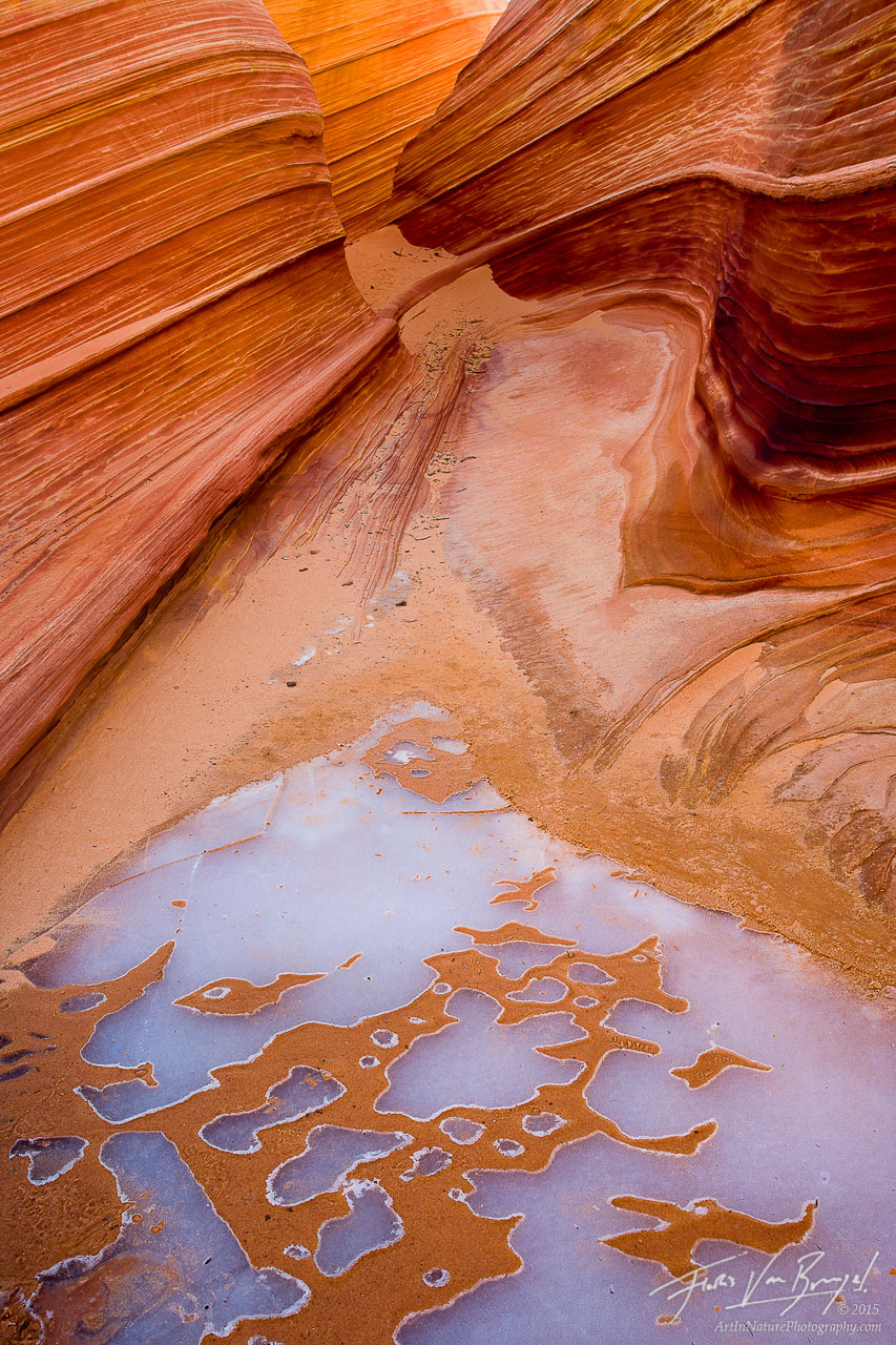 Rare winter ice, carved into intriguing shapes, acccentuates Arizona's famous sandstone Wave formation in the Coyote Buttes region...