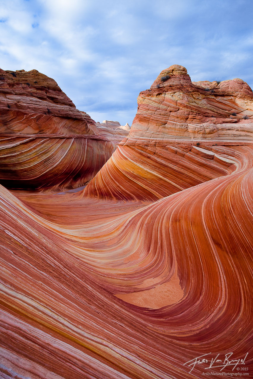 Sensationally twisted sandstone curves of Arizona's famous &quot;wave&quot; formation in the Coyote Buttes area, seen under partly...