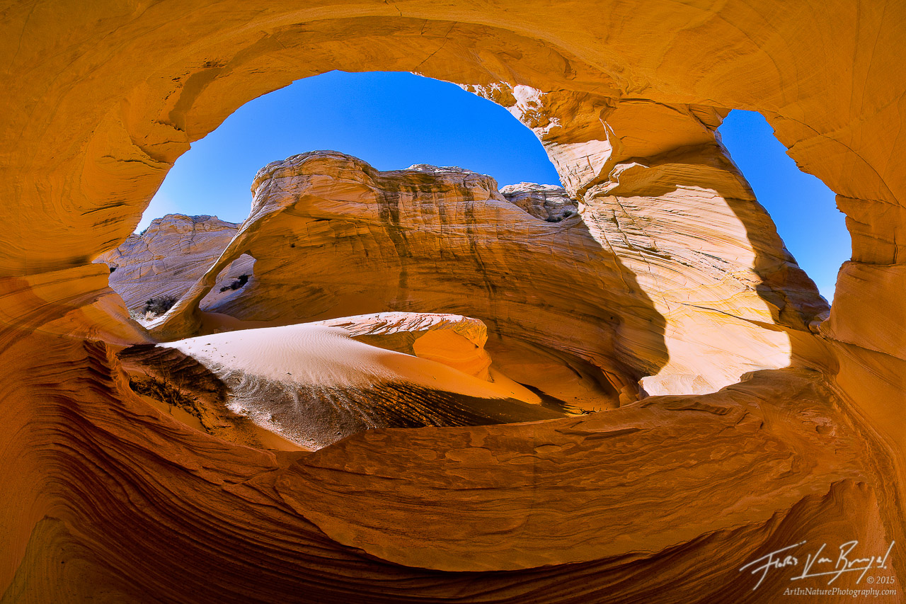 The incecent winds and blowing sand have, over millions of years, carved incredible forms out of the Southwest's sandstone, such...