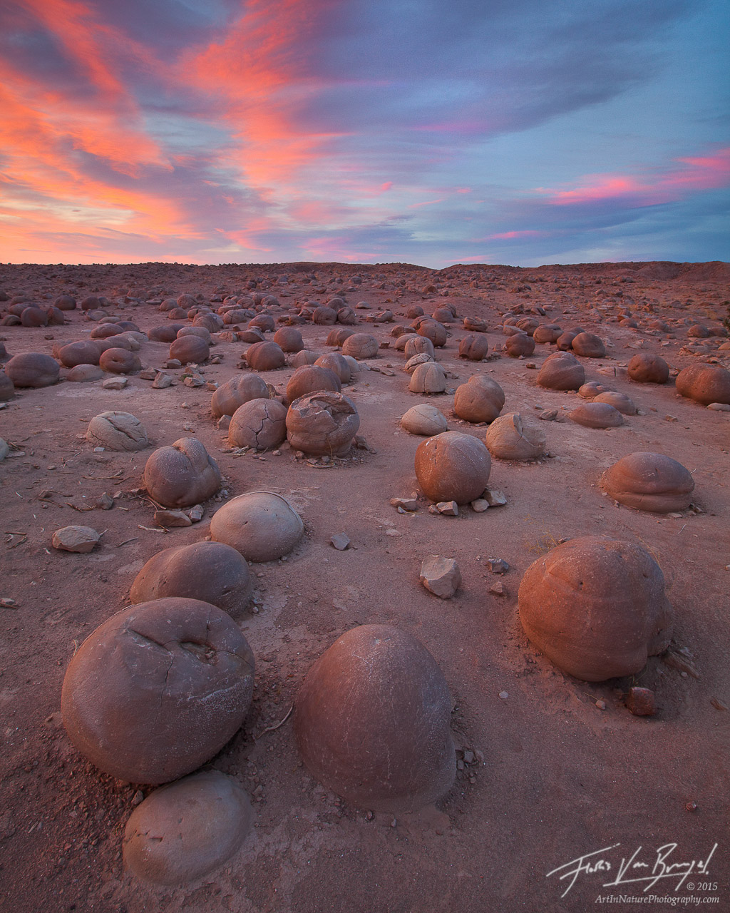Strange mud concretions litter the floor of the desert wash in California's Anza&nbsp;Borrego State Park.