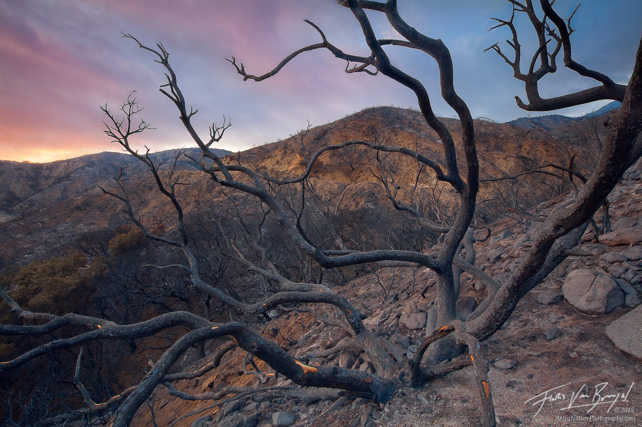 Hopeful sunset skies over the desolate wasteland of California's San Gabriel Mountains after a wildfire ravaged the Angeles National...
