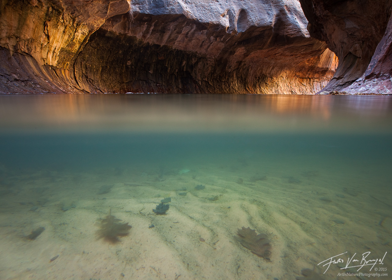 A warm glow from reflected light illuminates this unique half underwater view of Zion National Park's Subway formation along...