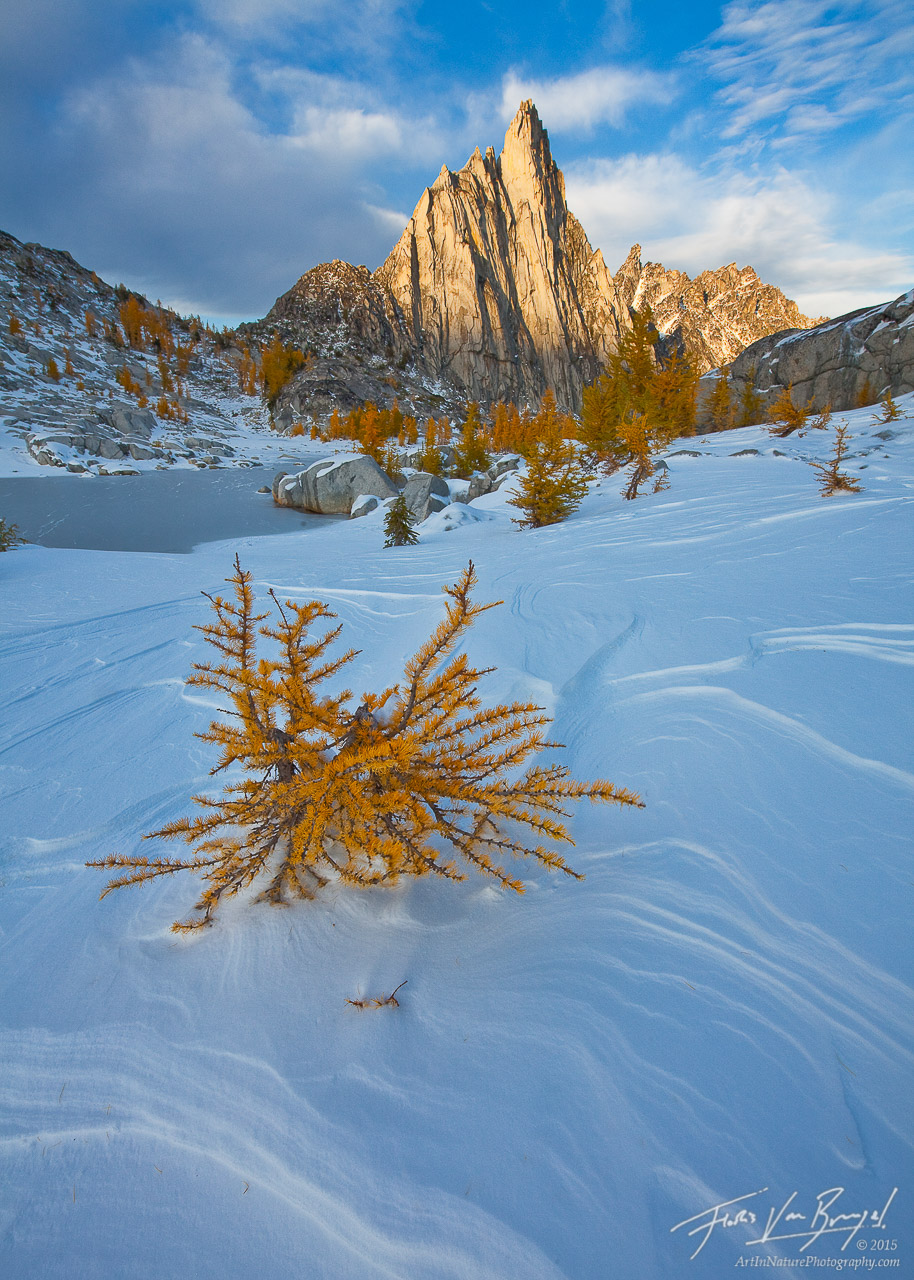 Winter accompanies the golden larches of fall below the magnificent Prusik Peak in Washington's Enchantment Lakes region of the...