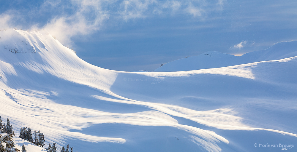 Rolling hills of perfect untracked snowy terrain in the backcountry near Washington's Mount Baker. &nbsp;