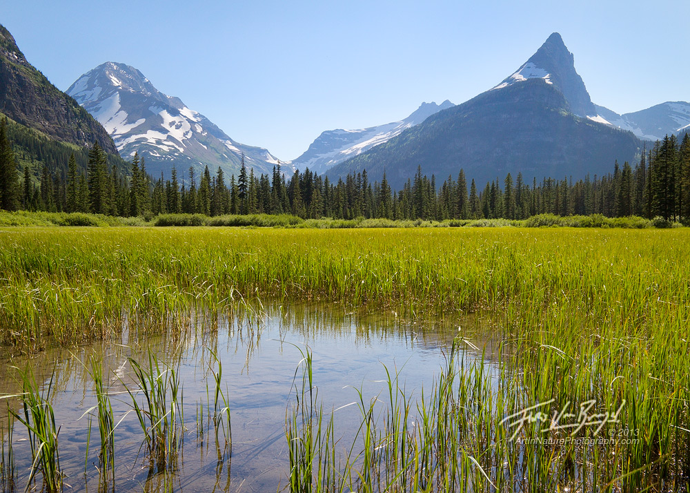 Imposing mountain peaks of the continental divide loom of a calm meadow in Montana's Glacier National Park.
