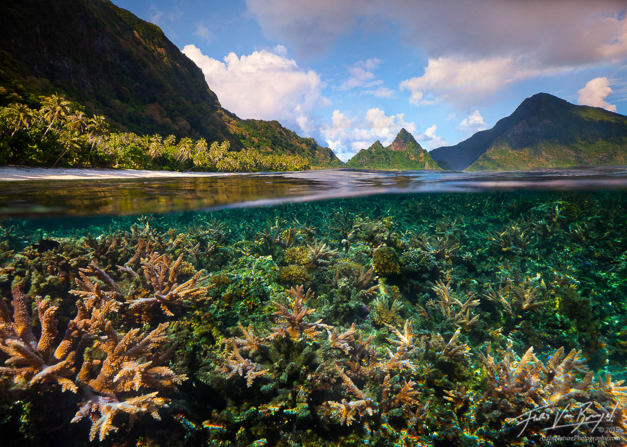 The isolated tropical paradise of Ofu, one of the Manu'a islands of American Samoa, is home to one of the most pristine and beautiful...