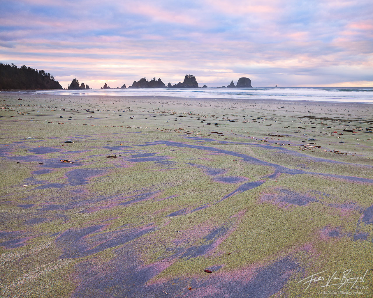 Naturally colored sand along the wilderness coast of Washington's Olympic National Park. The pinks and purples are powderized...