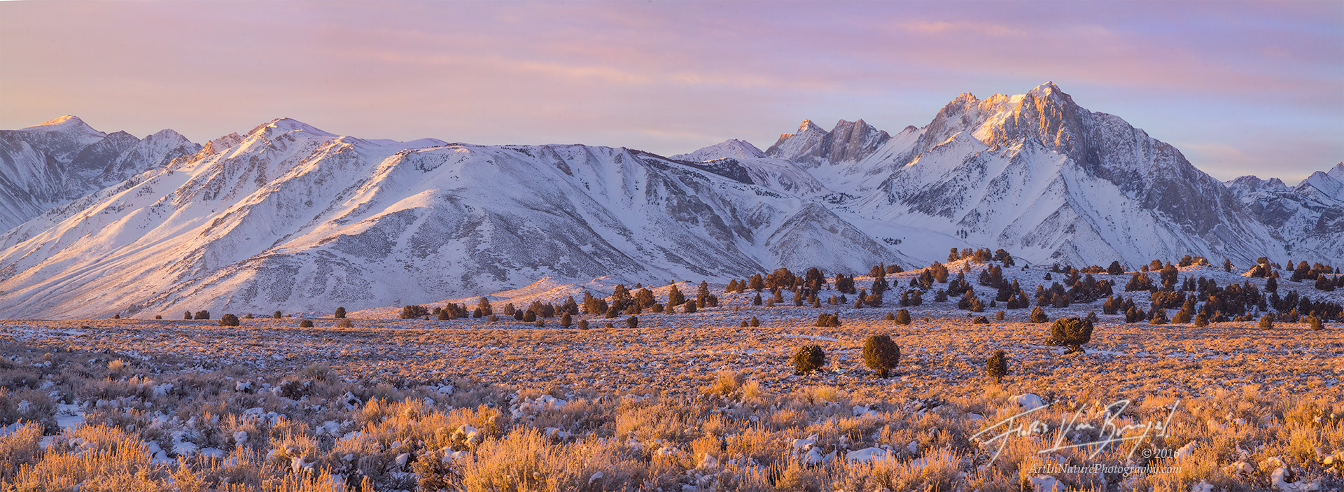 Morning sunshine brings warmth to this panorama of frigid juniper studded high desert east of the Sierra Nevada. The prominent...