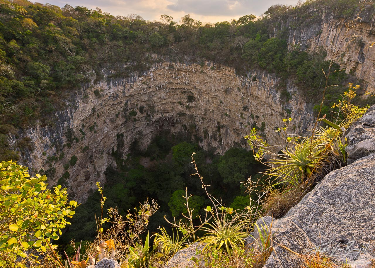 Hundreds of green parakeets make their homes deep in this gigantic sinkhole in Chiapas, Mexico.&nbsp;