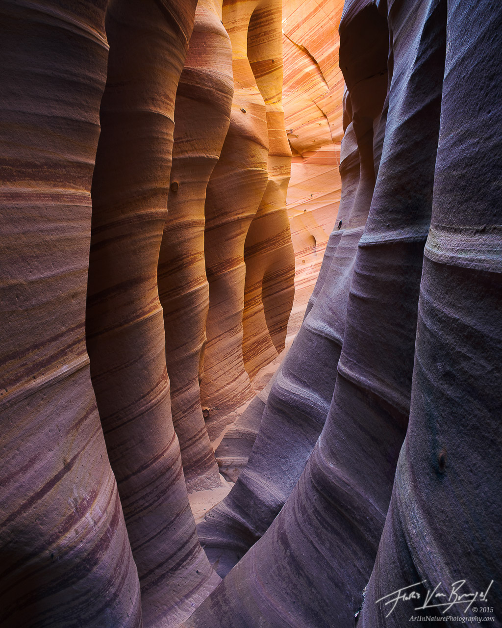 Smooth striped walls of a small slot canyon (Zebra Canyon) in Utah's Escalante National Monument are bathed in vibrant reflected...